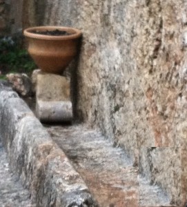 2015-01-15 16.49.17better cropped trough