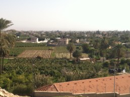 Jericho oasis 2015-01-14 11.11.35