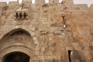 marc's lions gate copy