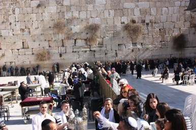 the wall women and men partition