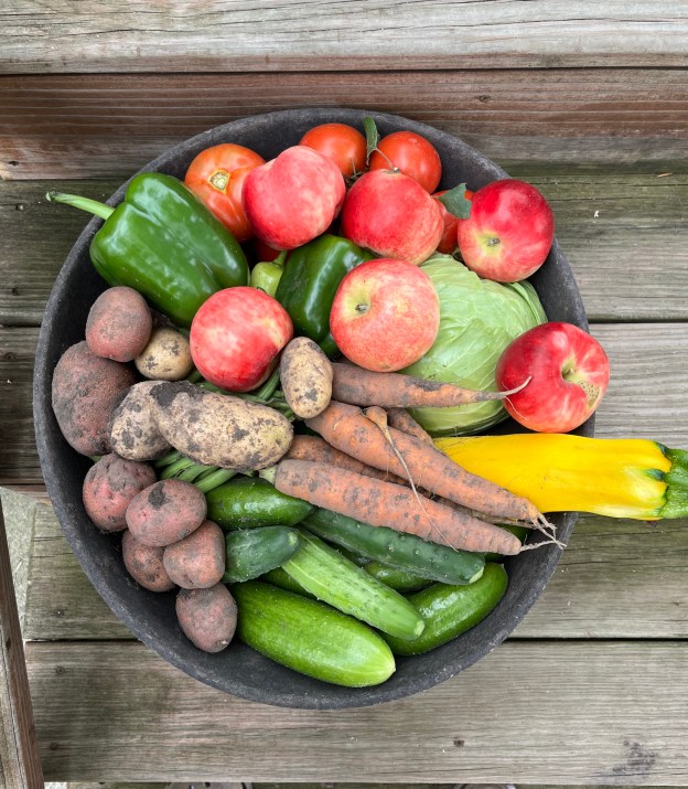 basket of garden vegetables